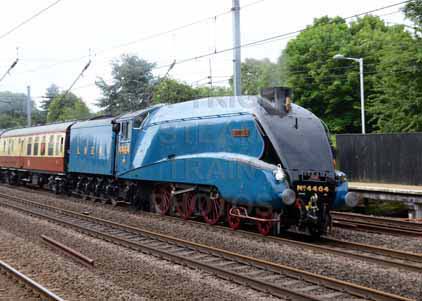 Purchase photo of 4464 BITTERN at Welham Green